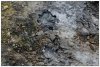 6/landmannalaugar 45 (Small).jpg
